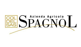 Col del Sas - Spagnol